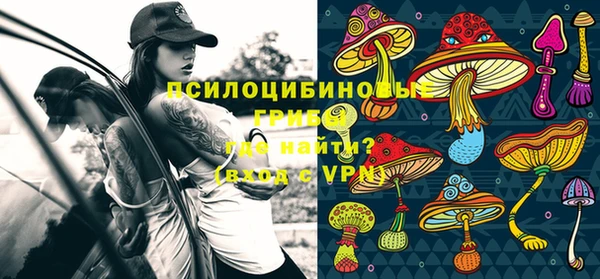 ГАЛЛЮЦИНОГЕННЫЕ ГРИБЫ Алзамай
